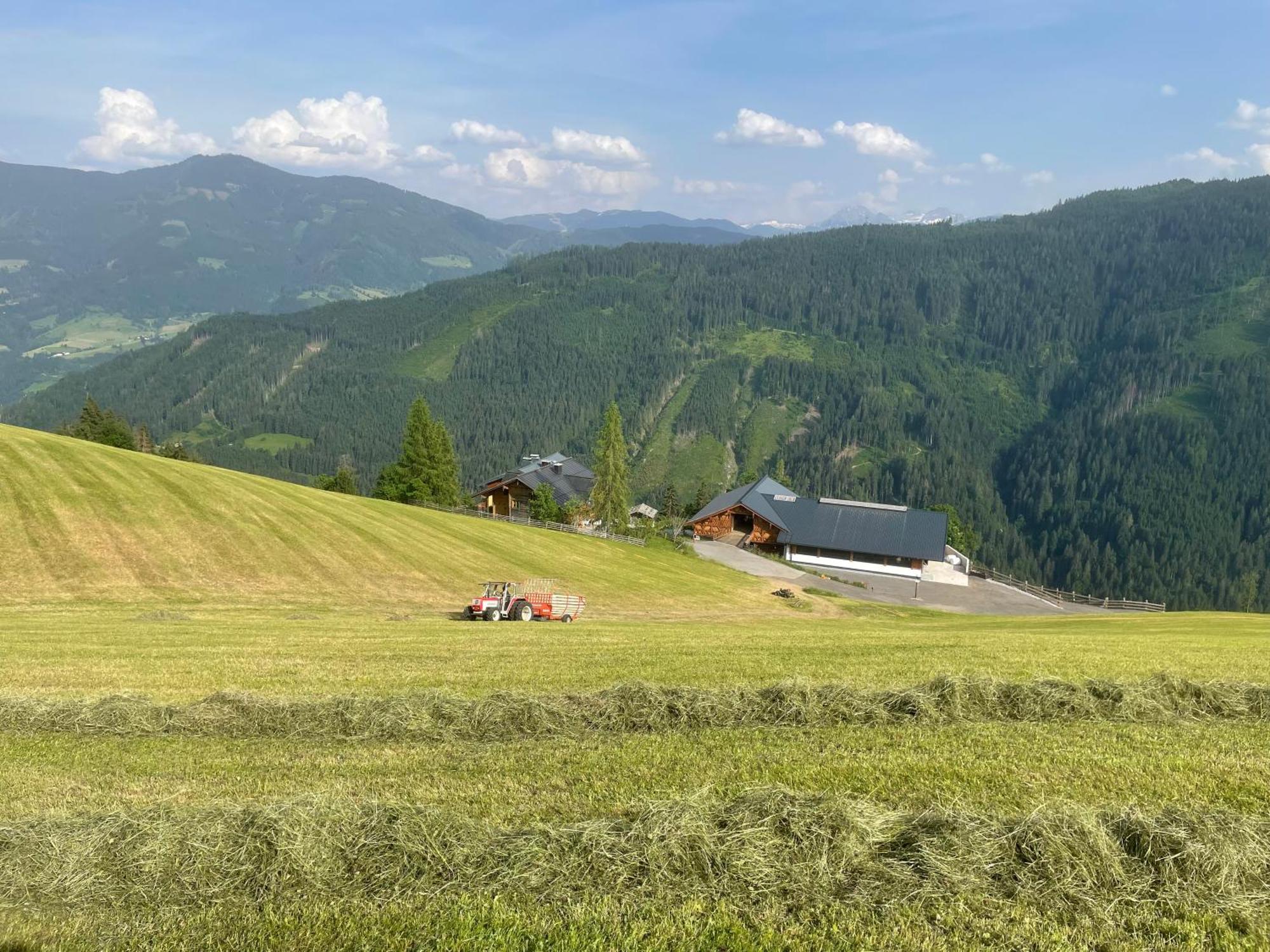 Villa Bio Alpenhof Rostatt Bischofshofen Exterior foto